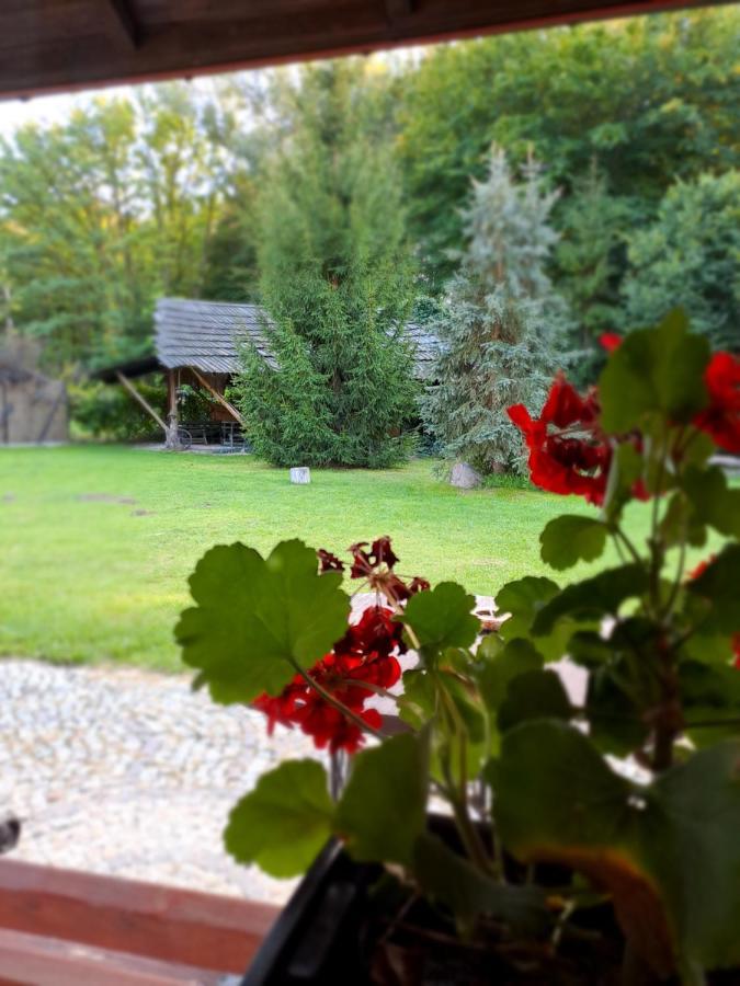 Siedlisko Lubicz Stara Chata Kazimierz Dolny Esterno foto